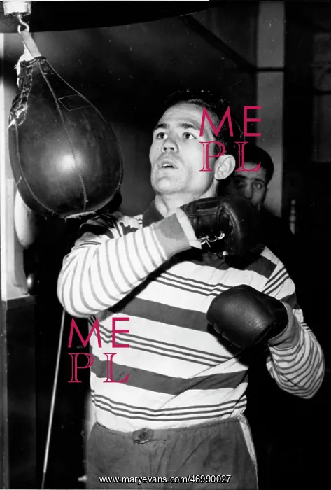 : Boxer Ray Famechon 1924 - 1978 : Boxer Ray Famechon 1924 - 1978