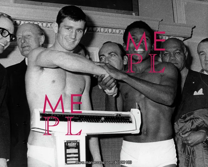 : Boxer Ray Famechon : Boxer Ray Famechon