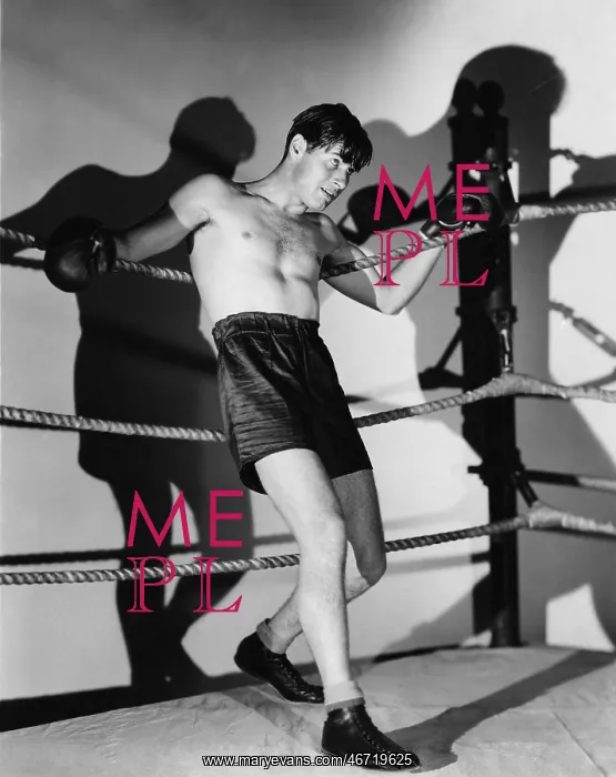  : Boxer in ring