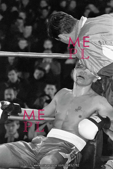 : Boxer V. Solodov, 1995 : Boxer V. Solodov, 1995