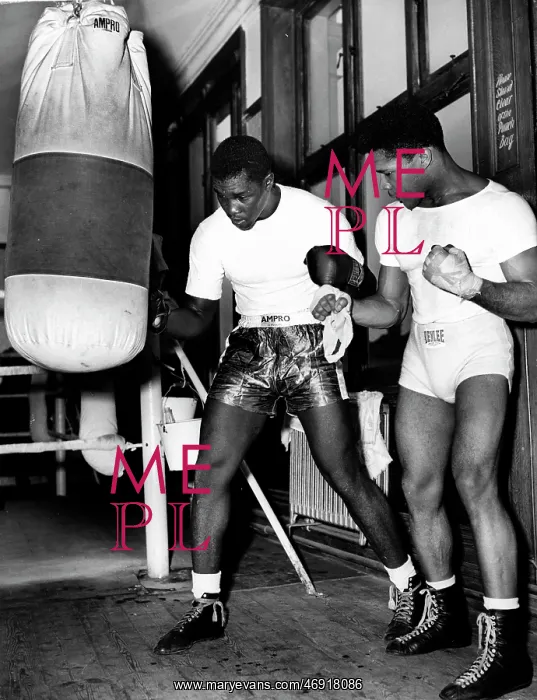 : Boxer Yolande Pompey 1929 - : Boxer Yolande Pompey 1929 -