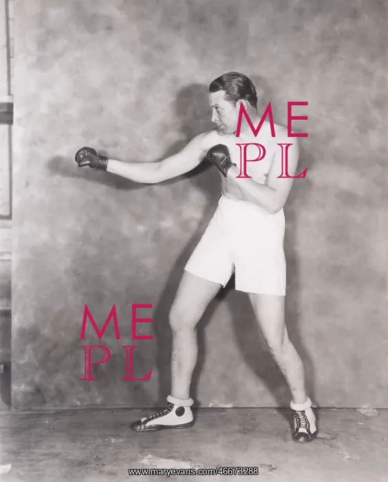 : Boxer's stance : Boxer's stance