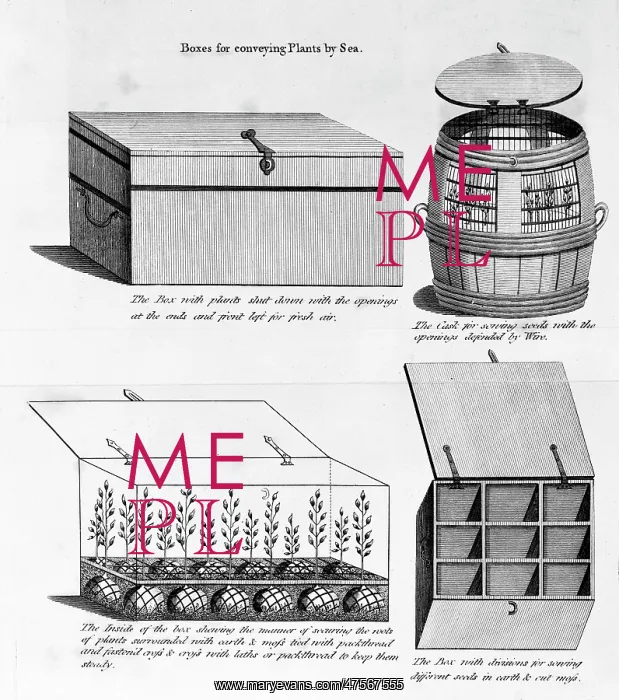 : Boxes for conveying plants by sea : Boxes for conveying plants by sea