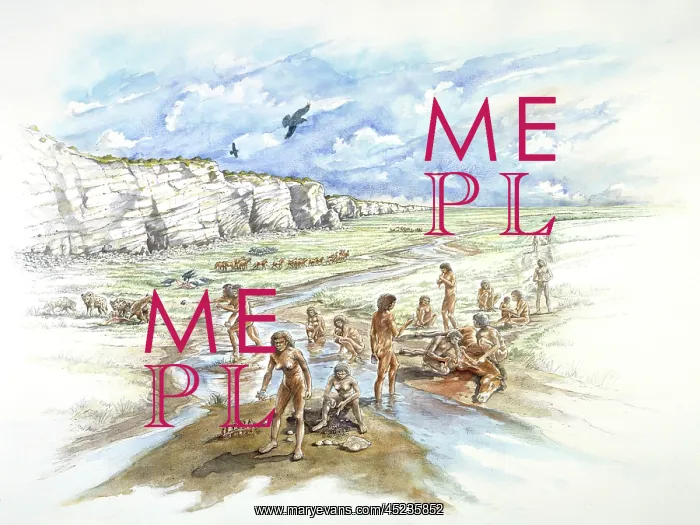 : Boxgrove Quarry, West Sussex. A panorama reconstruction drawing of Boxgrove by Peter Dunn : Boxgrove Quarry, West Sussex. A panorama reconstruction drawing of Boxgrove by Peter Dunn