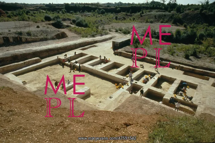 : Boxgrove excavation site : Boxgrove excavation site