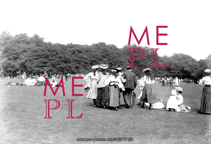  : Boxhill, on Bank Holiday 1906