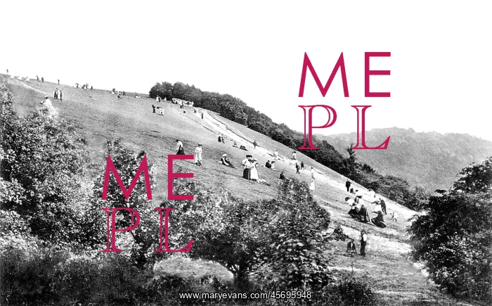  : Boxhill, the Slopes, Box Hill 1906