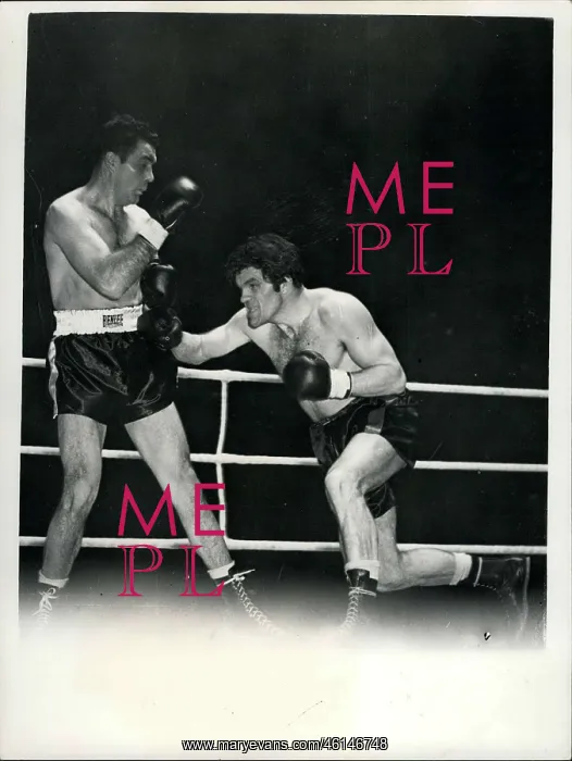  : Boxing. Jan. 24, 1950 - Maxim Knocks Out Freddie Mills In Tenth Round