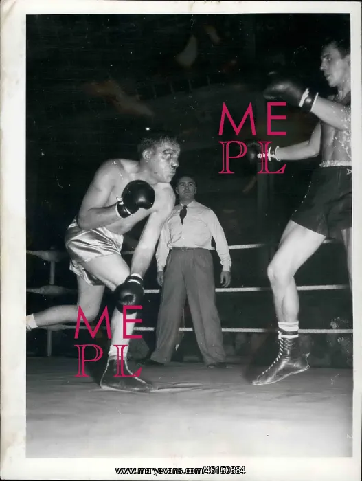 : Boxing. Nov. 11, 1952 - Middle weight bout in Munich : Boxing. Nov. 11, 1952 - Middle weight bout in Munich