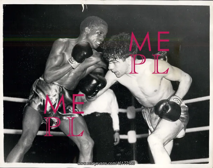 : Boxing. Oct. 19, 1954 - Boxing at Harringay : Boxing. Oct. 19, 1954 - Boxing at Harringay