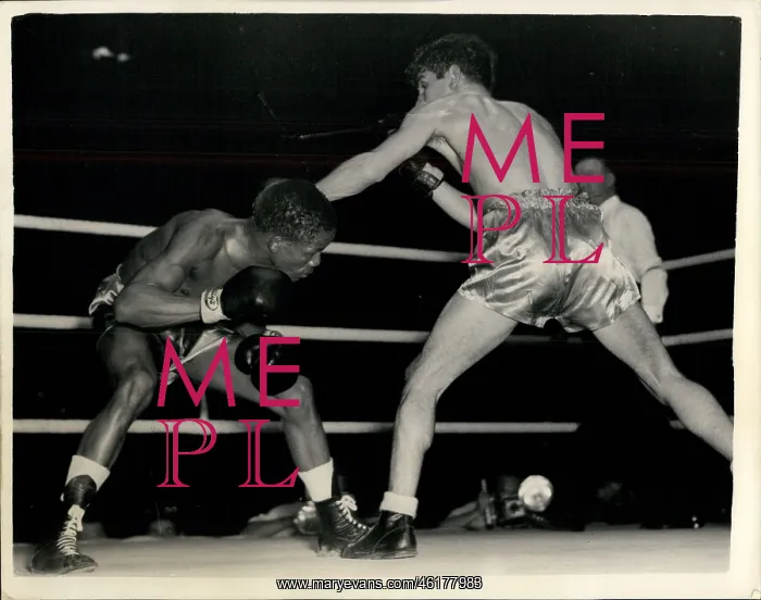 : Boxing. Oct. 19, 1954 - Boxing at Harringay : Boxing. Oct. 19, 1954 - Boxing at Harringay