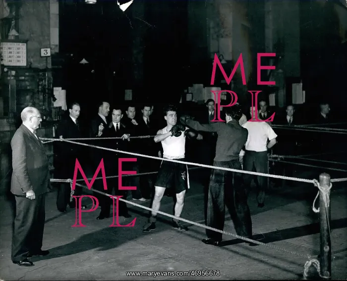 : Boxing. Feb. 29 In the Pregmects of the London Stock: Watched by Hamburg and others P : Boxing. Feb. 29 In the Pregmects of the London Stock: Watched by Hamburg and others P