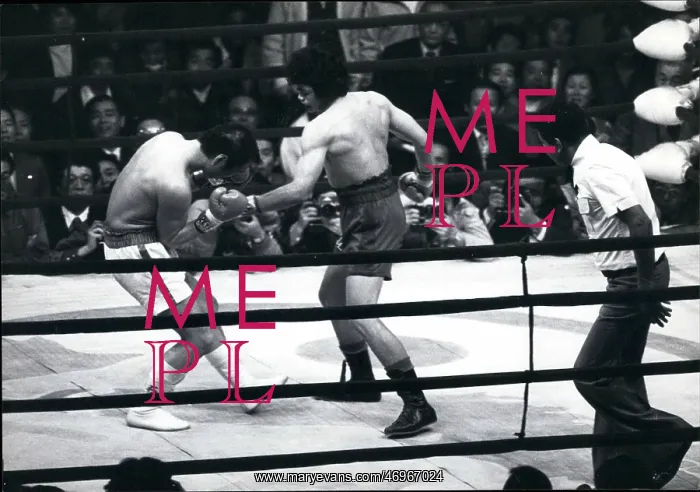 : Boxing. Feb. 26 Sensaku Muan Surin wins title fight in Tokyo : Boxing. Feb. 26 Sensaku Muan Surin wins title fight in Tokyo