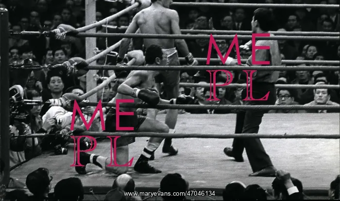  : Boxing. Feb. 02, 1970 - World title fight; Saijo Outpunches Stevens; World