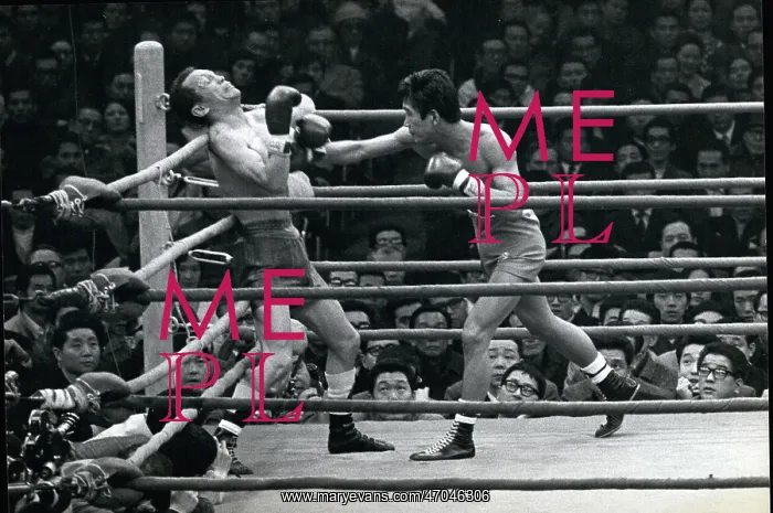 : Boxing. Feb. 02, 1970 - World Boxing Association featherweight champion : Boxing. Feb. 02, 1970 - World Boxing Association featherweight champion