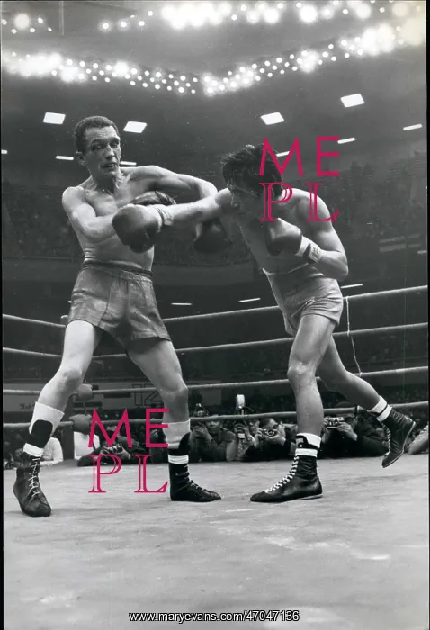 : Boxing. Feb. 28 World Boxing Association Featherweight Champion : Boxing. Feb. 28 World Boxing Association Featherweight Champion