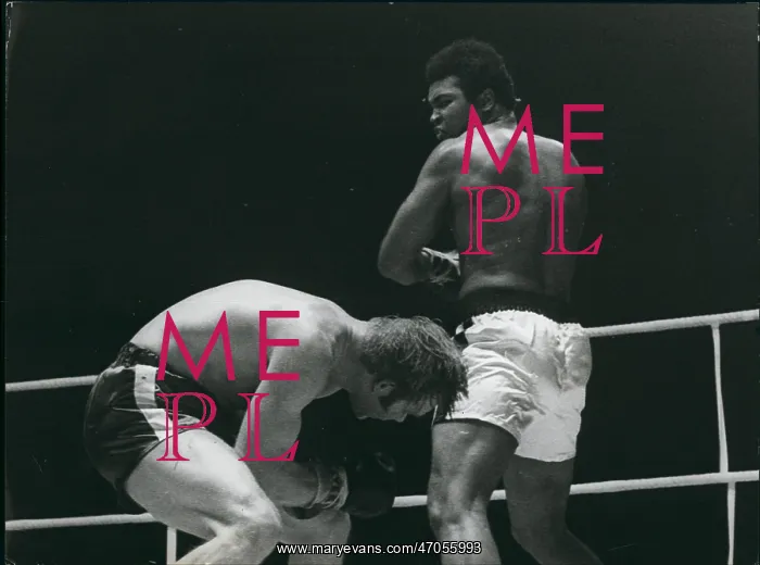  : Boxing. Dec. 12, 1971 - Muhammed never doubts that ho is the most beautiful one