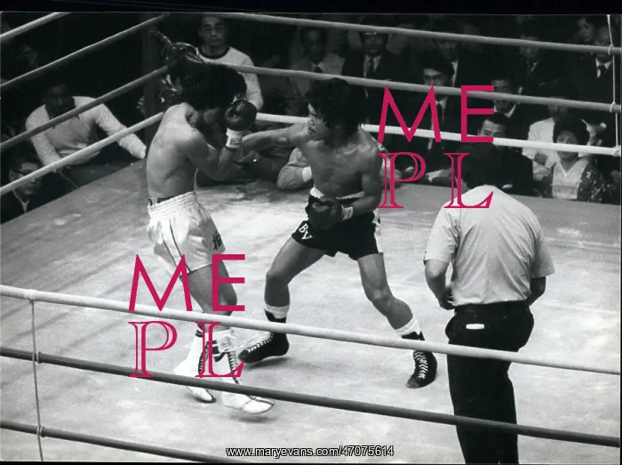 : Boxing. Jan. 01, 1976 - Villaflor retains world junior lightweight title in Tokyo : Boxing. Jan. 01, 1976 - Villaflor retains world junior lightweight title in Tokyo