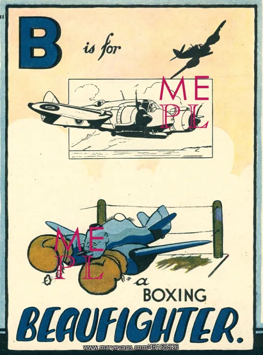 : A Boxing Beaufighter : A Boxing Beaufighter
