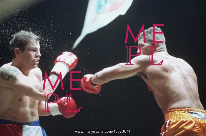 : Boxing show at CSKA Ice Palace : Boxing show at CSKA Ice Palace