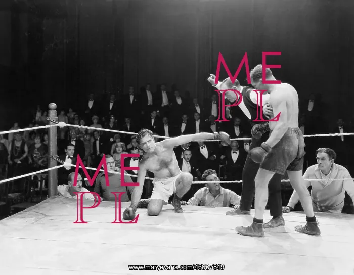 : Boxing match : Boxing match