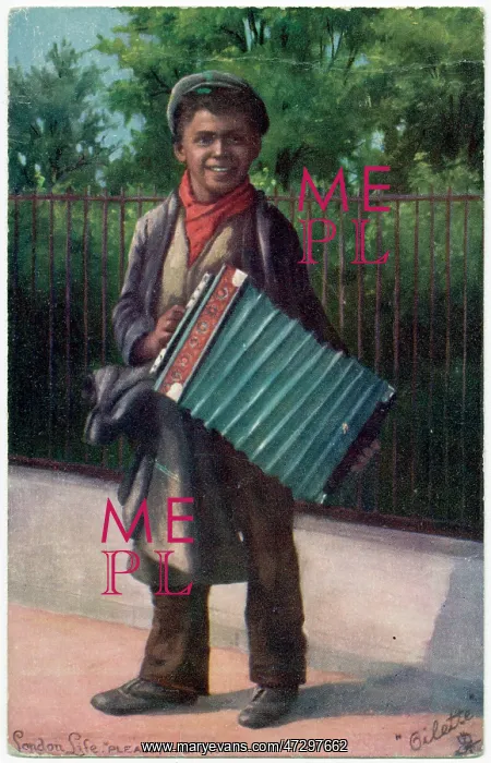  : Boy Accordeon Play