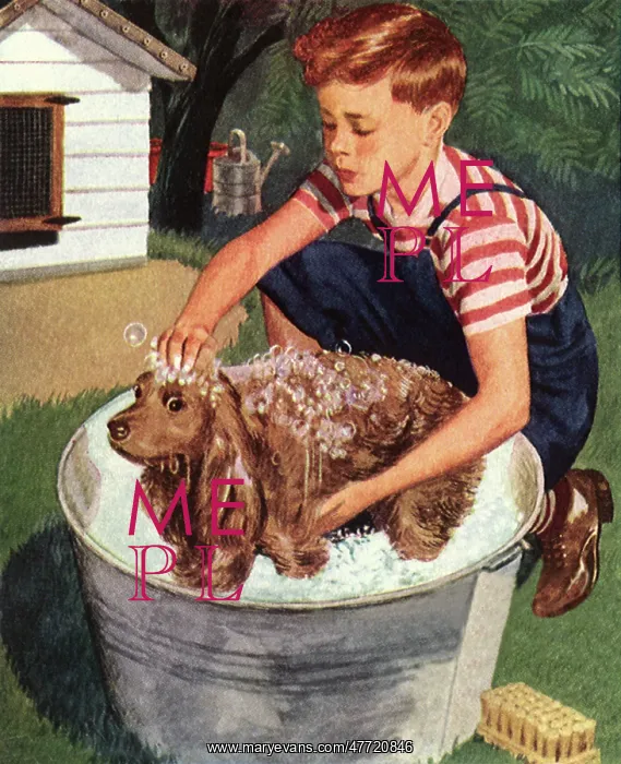  : Boy Bathes Dog in Tub