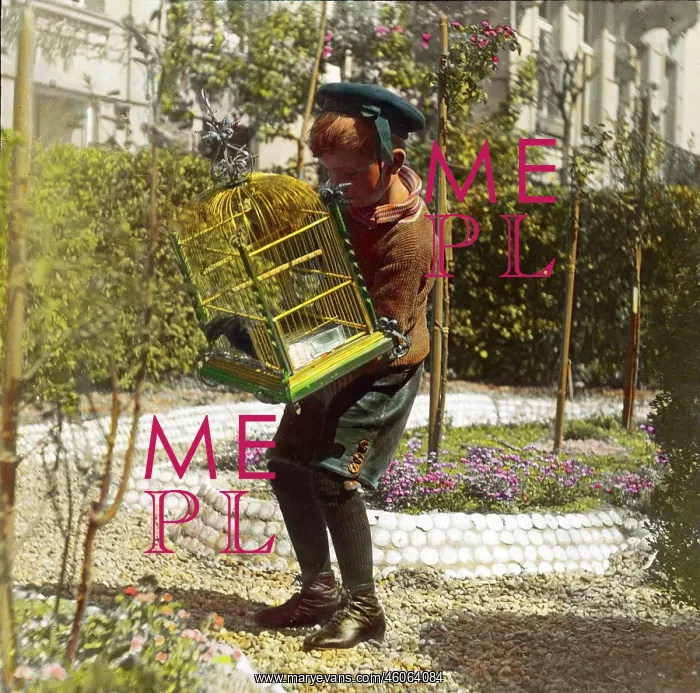 : Boy with birdcage : Boy with birdcage
