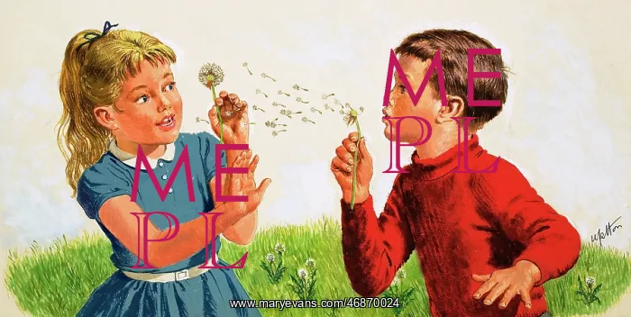  : Boy blowing a dandelion clock