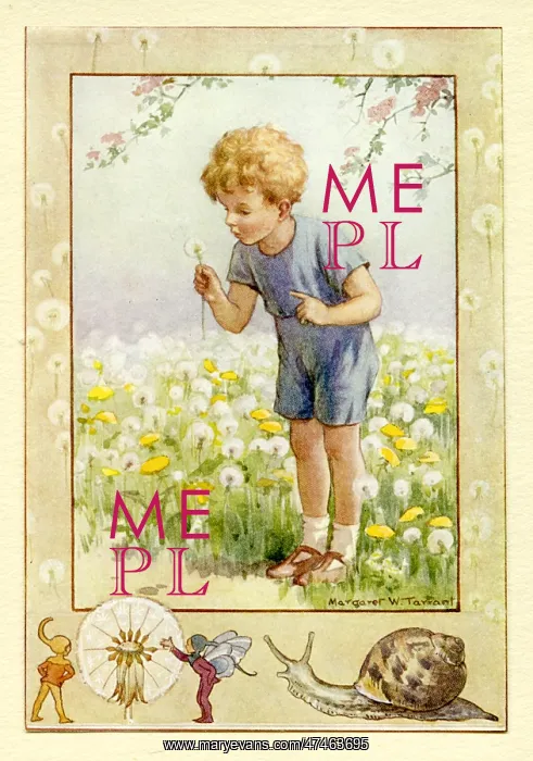  : Boy blowing on a Dandelion Clock