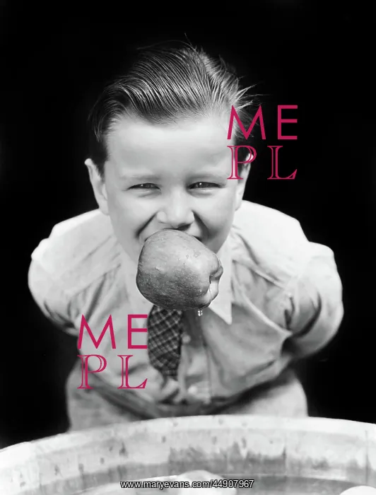 : Boy Bobbing For Apples with An Apple in his Mouth Looking : Boy Bobbing For Apples with An Apple in his Mouth Looking