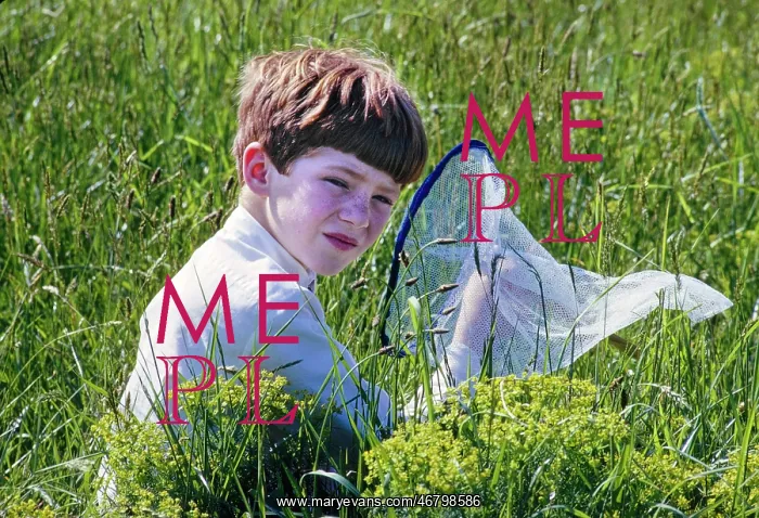  : boy - butterfly net - leisure - lifestyles