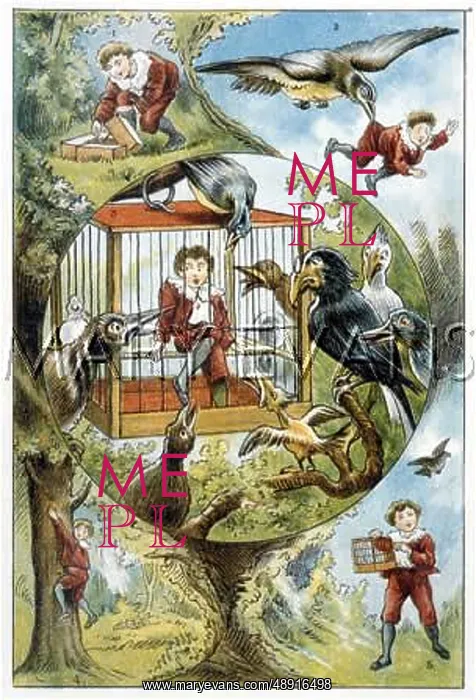 : BOY IN CAGE : BOY IN CAGE