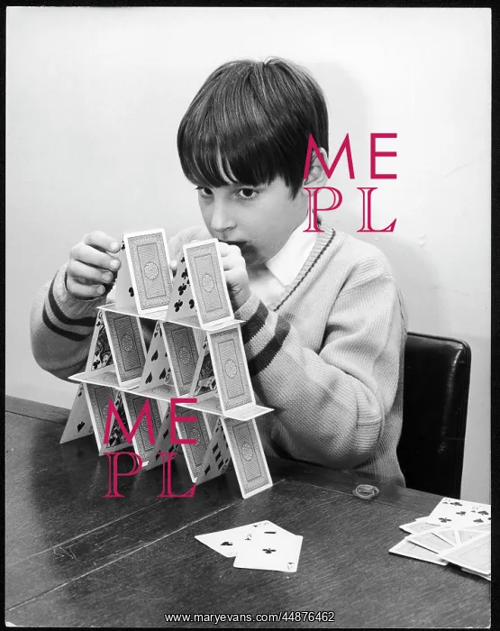 : BOY / CARD HOUSE : BOY / CARD HOUSE