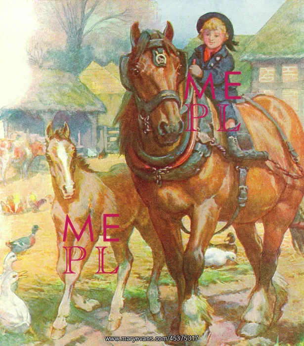  : Boy on carthorse