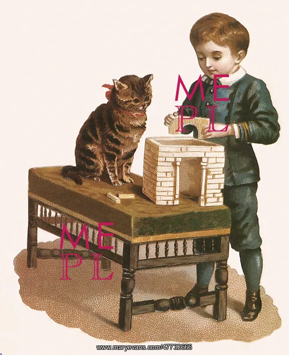  : Boy, Cat, and Blocks