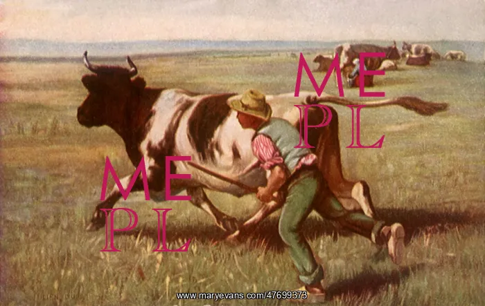  : Boy Chasing Cow