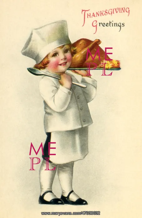  : Boy Chef and Turkey