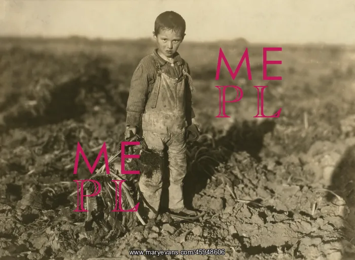 : Boy - Child Labour - Agriculture : Boy - Child Labour - Agriculture