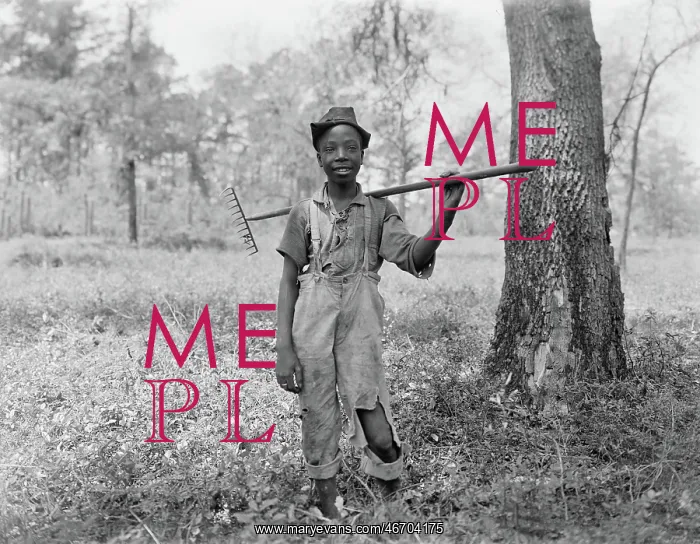 : Boy - child - rake - laborer : Boy - child - rake - laborer