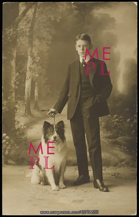 : BOY WITH COLLIE DOG : BOY WITH COLLIE DOG