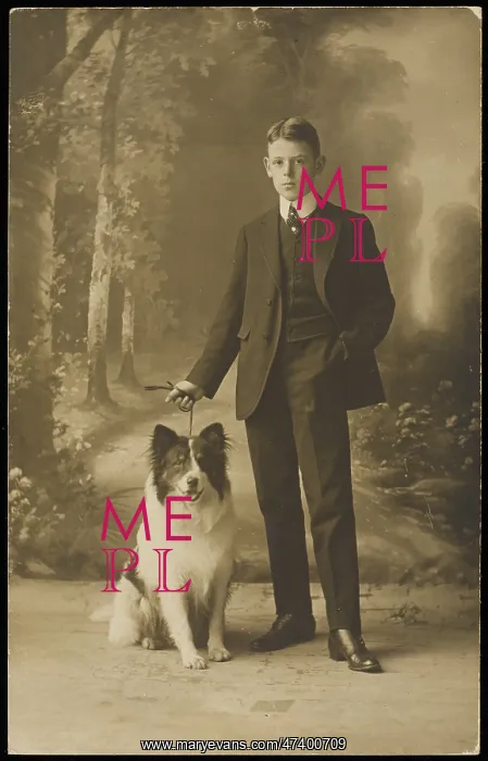: BOY WITH COLLIE DOG : BOY WITH COLLIE DOG