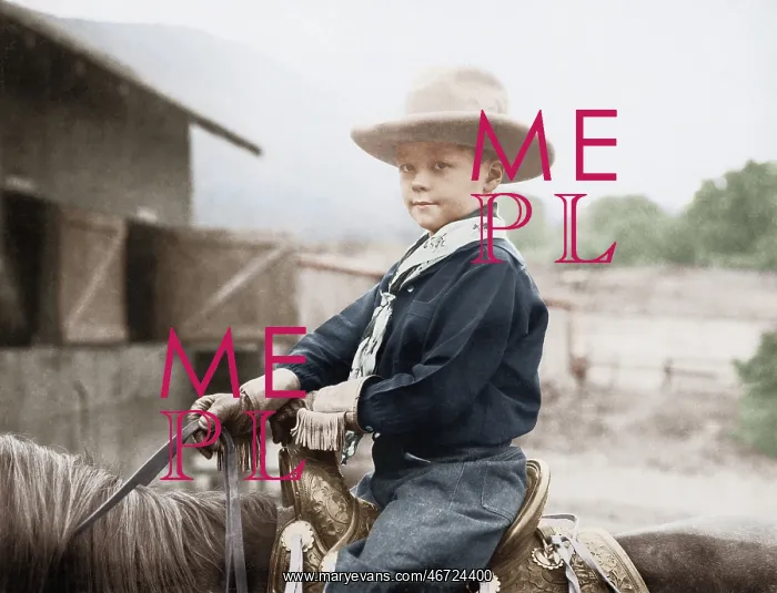 : Boy in a cowboy hat on a horse : Boy in a cowboy hat on a horse