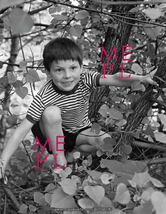 : Boy crouching in the branches of a tree : Boy crouching in the branches of a tree