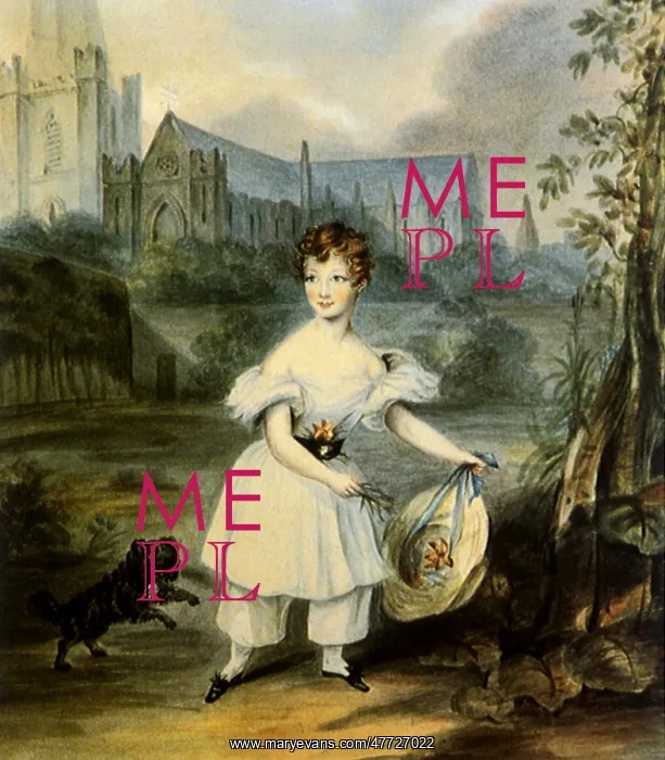 : A Boy in the Deanery Garden of St Patrick's Cathedral : A Boy in the Deanery Garden of St Patrick's Cathedral