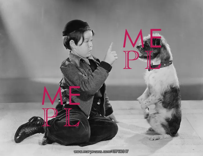  : A boy and his dog