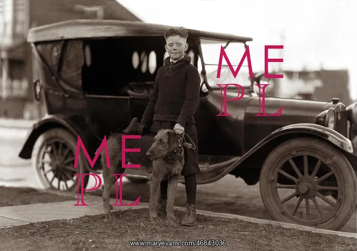 : A boy, his dog and a car : A boy, his dog and a car
