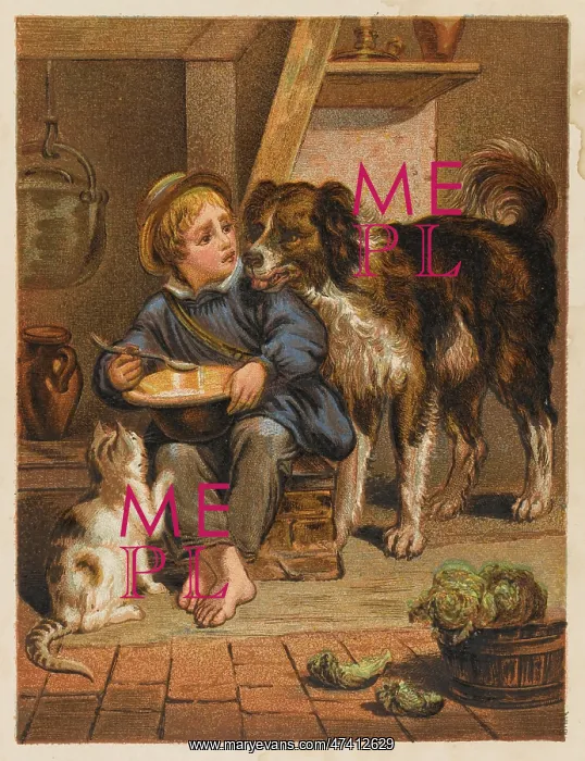 : BOY, DOG AND CAT : BOY, DOG AND CAT