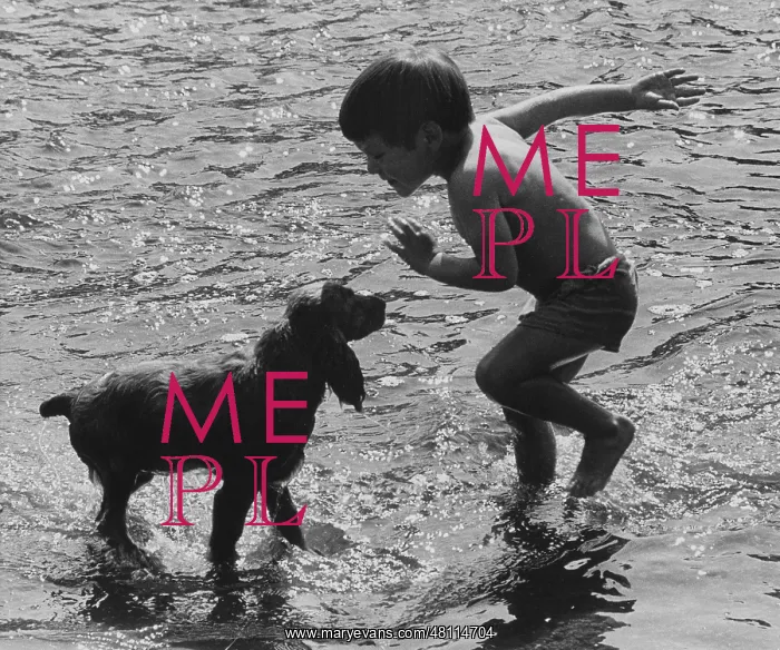 : Boy and dog at the seaside : Boy and dog at the seaside