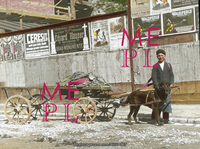 : Boy with dog and wagon : Boy with dog and wagon